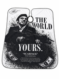 FLEET - “World is yours” cape